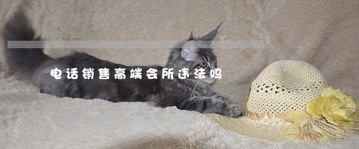 电话销售高端会所违法吗 电话销售高端会所违法吗