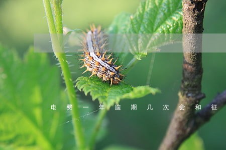 电费一年逾期几次会和征信挂钩 电费一年逾期几次会和征信挂钩