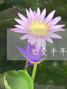 电费半年内逾期三次