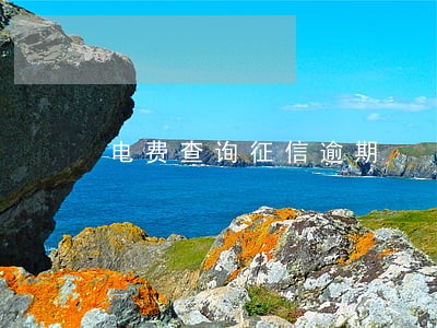 电费查询征信逾期 电费查询征信逾期