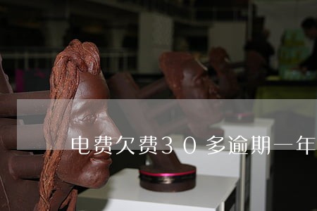 电费欠费30多逾期一年多少钱