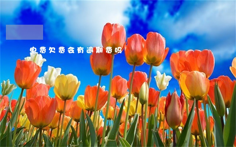 电费欠费会有逾期费吗 电费欠费会有逾期费吗