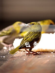 电费没交逾期会上征信吗 电费没交逾期会上征信吗