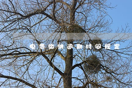 电费缴纳逾期时间规定 电费缴纳逾期时间规定