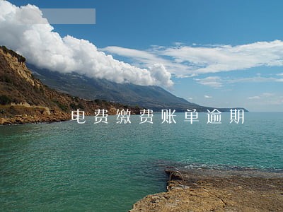 电费缴费账单逾期 电费缴费账单逾期