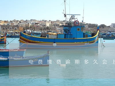 电费缴费逾期多久会上征信 电费缴费逾期多久会上征信