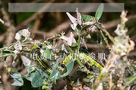 电费自动扣费逾期 电费自动扣费逾期