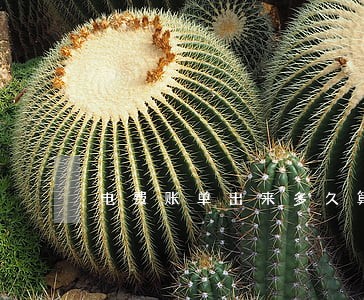 电费账单出来多久算逾期 电费账单出来多久算逾期