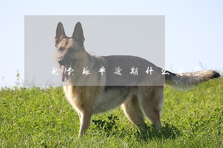 电费账单逾期什么意思