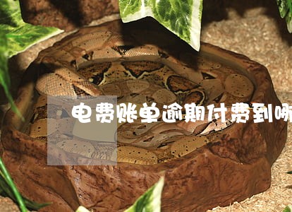 电费账单逾期付费到哪里办理 电费账单逾期付费到哪里办理