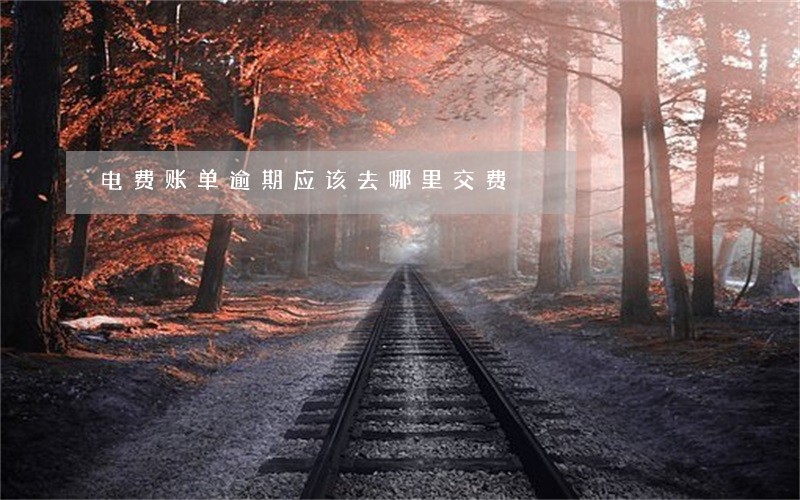 电费账单逾期应该去哪里交费 电费账单逾期应该去哪里交费