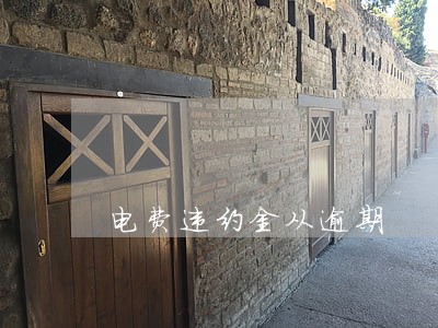 电费违约金从逾期 电费违约金从逾期