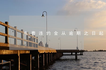电费违约金从逾期之日起计算 电费违约金从逾期之日起计算