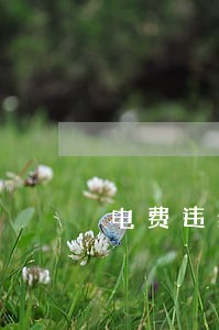 电费违约金是逾期 电费违约金是逾期