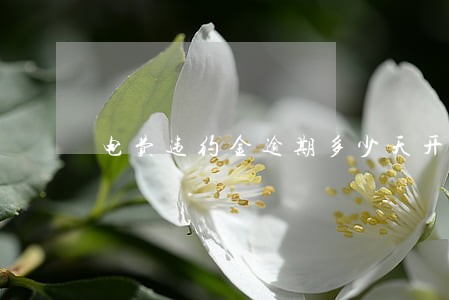 电费违约金逾期多少天开始算 电费违约金逾期多少天开始算