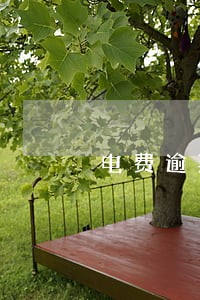 电费逾期2万块每天利息多少 电费逾期2万块每天利息多少