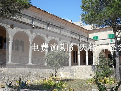 电费逾期6天银行还会自动扣款吗 电费逾期6天银行还会自动扣款吗