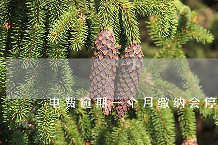电费逾期一个月缴纳会停电吗 电费逾期一个月缴纳会停电吗