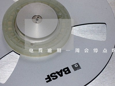 电费逾期一周会停点吗 电费逾期一周会停点吗