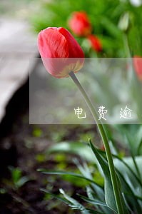 电费逾期一天可以不用交滞纳金么