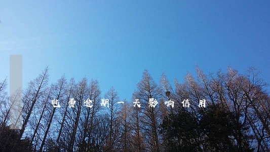 电费逾期一天影响信用 电费逾期一天影响信用