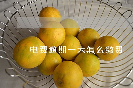 电费逾期一天怎么缴费 电费逾期一天怎么缴费