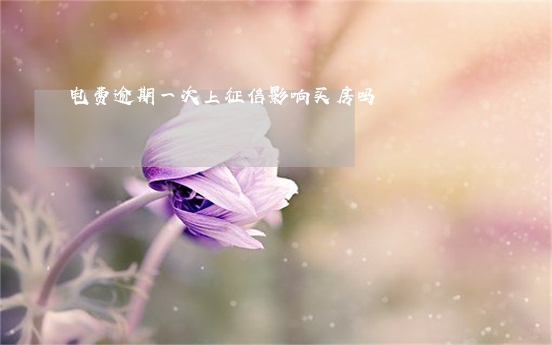 电费逾期一次上征信影响买房吗 电费逾期一次上征信影响买房吗