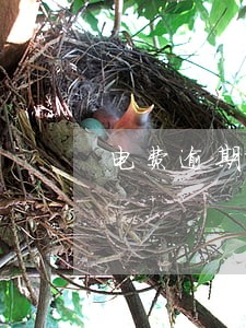 电费逾期不交产生滞纳金吗 电费逾期不交产生滞纳金吗