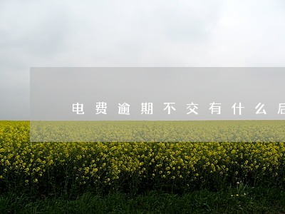 电费逾期不交有什么后果 电费逾期不交有什么后果