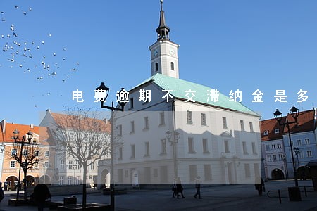 电费逾期不交滞纳金是多少 电费逾期不交滞纳金是多少