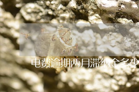 电费逾期两月滞纳金多少