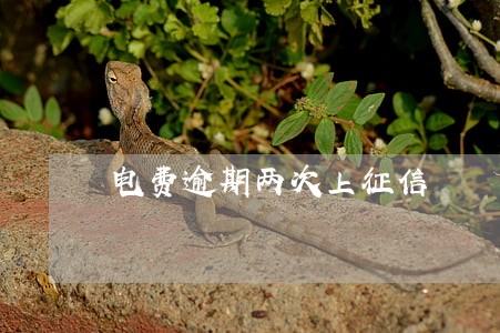 电费逾期两次上征信
