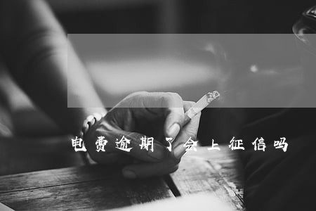 电费逾期了会上征信吗