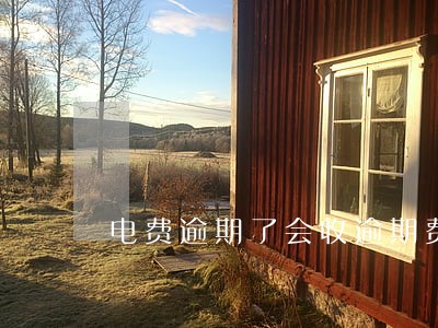 电费逾期了会收逾期费吗 电费逾期了会收逾期费吗