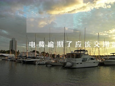 电费逾期了应该交滞纳金吗 电费逾期了应该交滞纳金吗