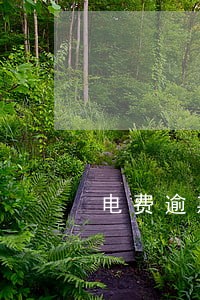 电费逾期交多少滞纳金 电费逾期交多少滞纳金