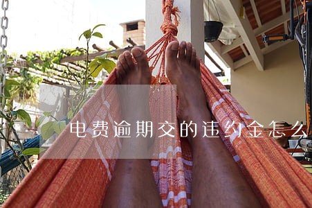 电费逾期交的违约金怎么算 电费逾期交的违约金怎么算