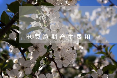 电费逾期产生费用 电费逾期产生费用