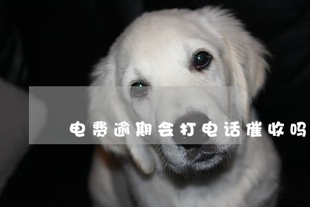 电费逾期会打电话催收吗 电费逾期会打电话催收吗