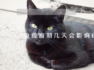 电费逾期几天会影响征信吗 电费逾期几天会影响征信吗