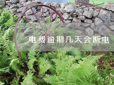 电费逾期几天会断电 电费逾期几天会断电