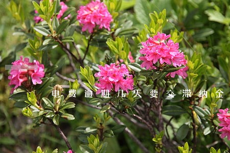 电费逾期几天要交滞纳金 电费逾期几天要交滞纳金