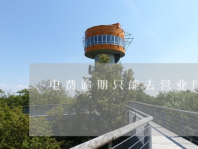 电费逾期只能去营业厅缴费 电费逾期只能去营业厅缴费