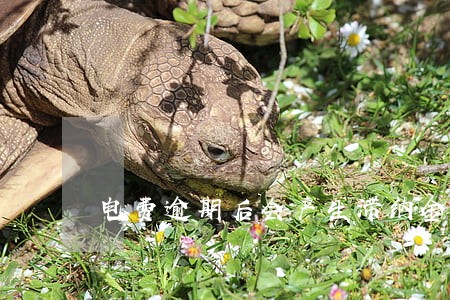 电费逾期后会产生滞纳金吗 电费逾期后会产生滞纳金吗