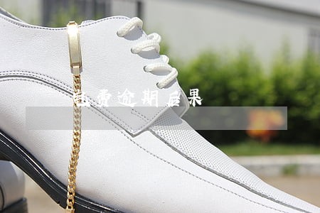 电费逾期后果 电费逾期后果