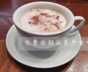 电费逾期后果严重吗 电费逾期后果严重吗