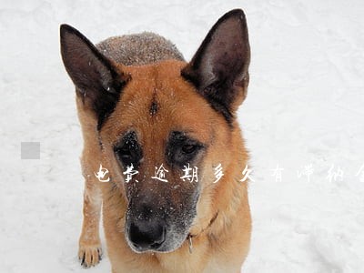 电费逾期多久有滞纳金 电费逾期多久有滞纳金
