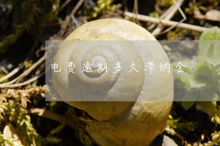 电费逾期多久滞纳金