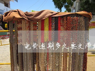 电费逾期多久要交滞纳金