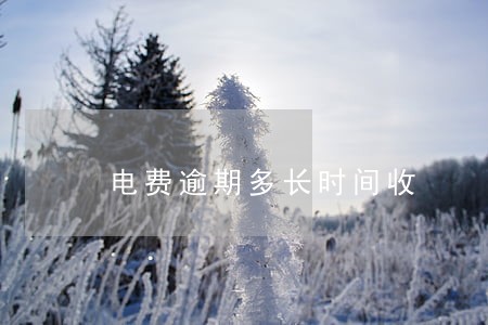 电费逾期多长时间收 电费逾期多长时间收